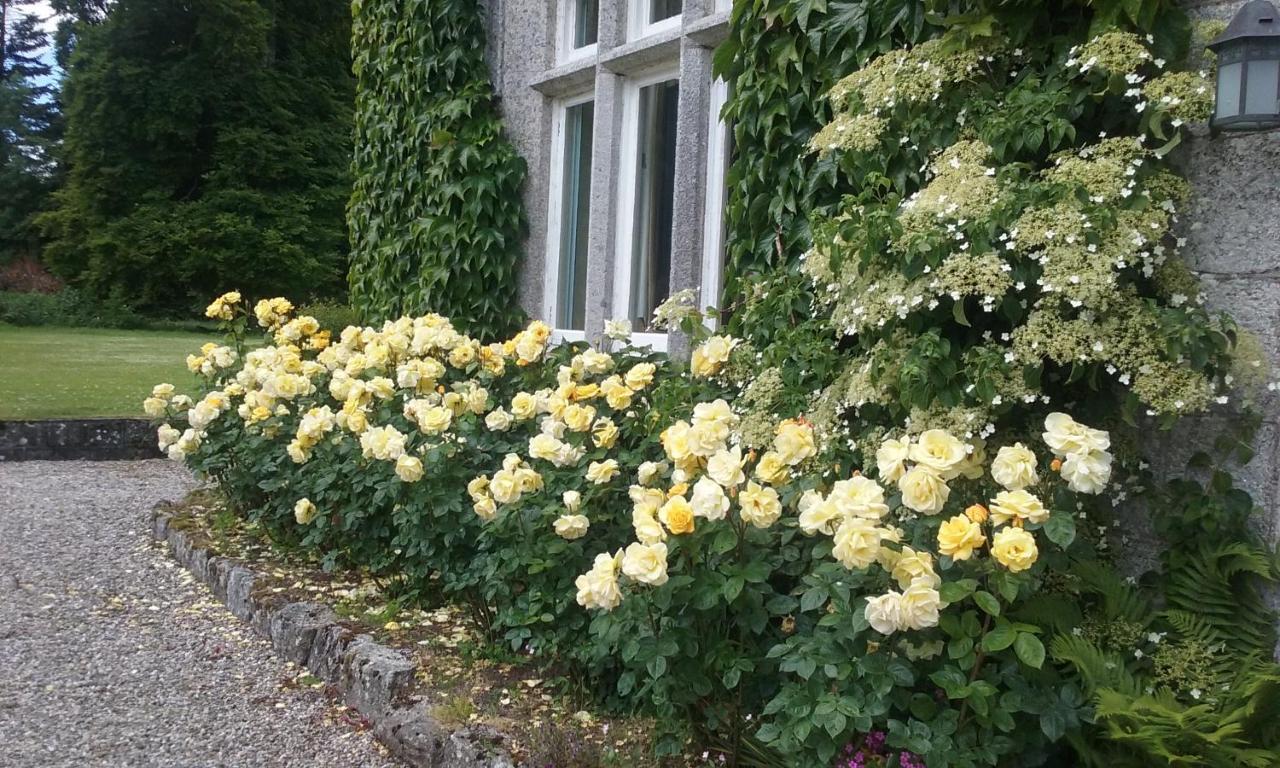 Courtyard Cottage Carlow Exterior photo